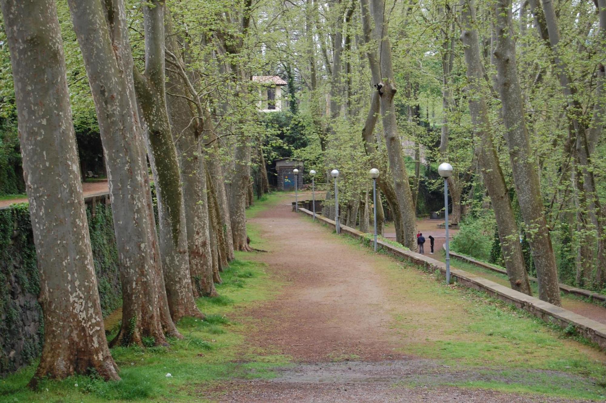 El Solell De L'Avia Villa Olot Exterior photo
